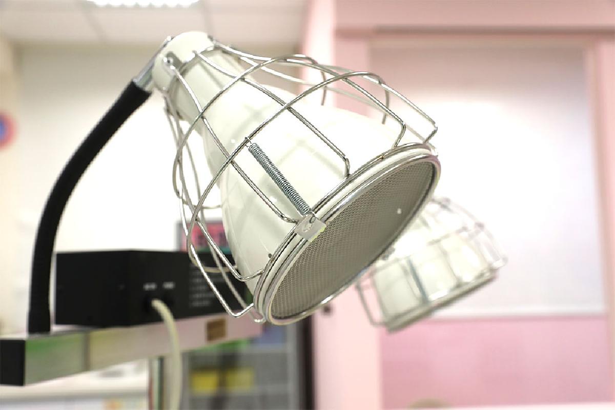 pho_0012_pho_8894 pho_0012_pho_8894